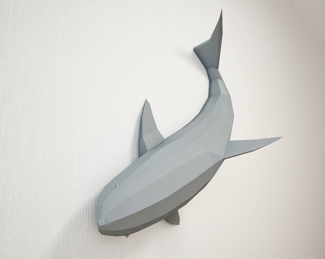 Shark on a Wall