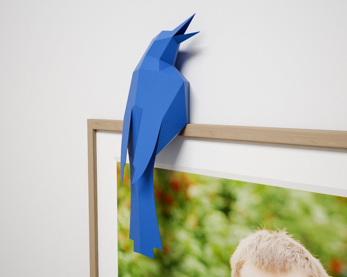 Bird on a Frame